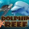 dolphin-reef-slots-game